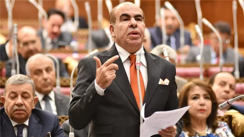 طلب إحاطة بالبرلمان بسبب «العربية والتاريخ».. مخاوف من تأثيرهما على مستقبل طلاب الشهادات الدولية