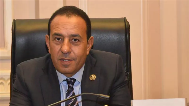 برلماني: مباحثات الرئيس السيسي وشي جين بينج تؤكد عمق الشراكة المصرية الصينية