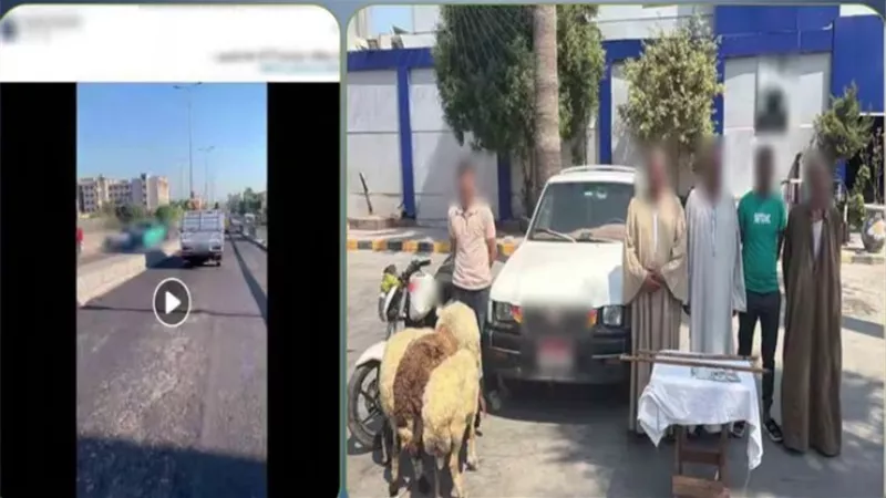 ضبط 4 أشخاص بالإسكندرية بعد تداول فيديو لمطاردة سيارة بدعوى سرقة أموال
