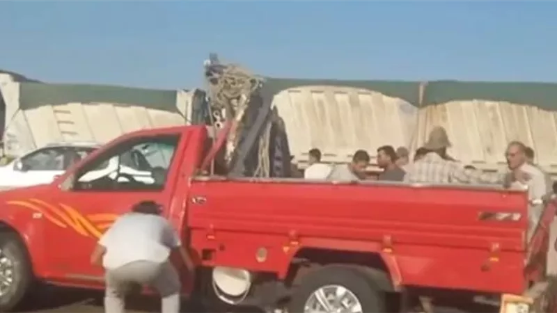 بالأسماء.. تفاصيل حادث تصادم سيارة نقل وربع نقل على محور 30 يونيو جنوب بورسعيد