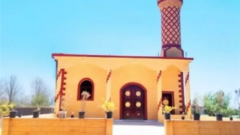 اليوم الجمعة.. الأوقاف تفتتح 14 مسجدًا ضمن خطة إعمار بيوت الله