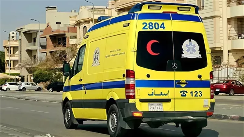 مصرع 3 أشخاص وإصابة 6 في تصادم ميكروباص وتريلا بطريق رأس غارب – الغردقة