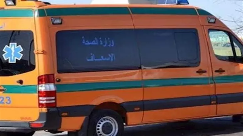 بالشوم والأسلحة البيضاء.. إصابة 5 أشخاص في مشاجرة عنيفة بالبحيرة