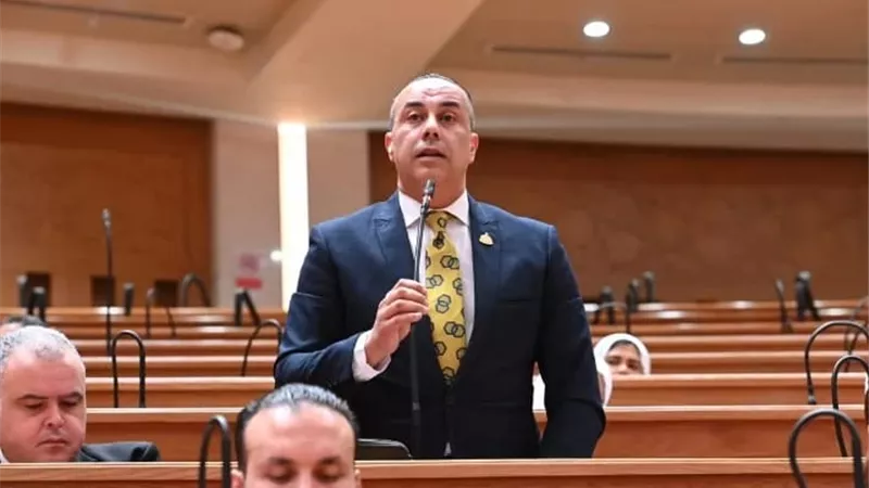 بعد التوجيه الرئاسي.. برلماني: إشراك الشباب في طرح الأفكار يعزز التنمية والابتكار