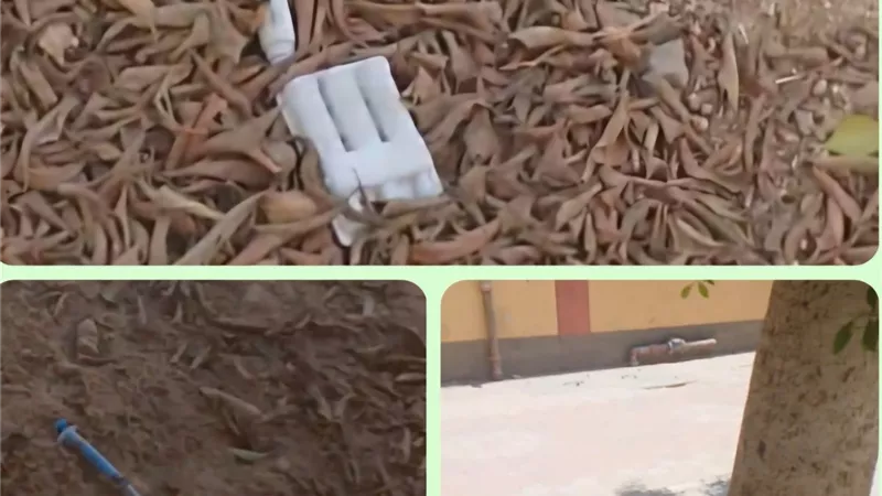 مخلفات طبية بين الطلاب.. فيديو متداول يثير الجدل داخل مدرسة إعدادية في قنا