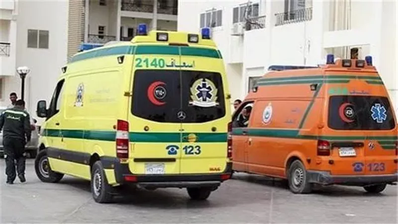 بالأسماء.. إصابة 4 شباب في حادث تصادم بطريق طناح في الدقهلية