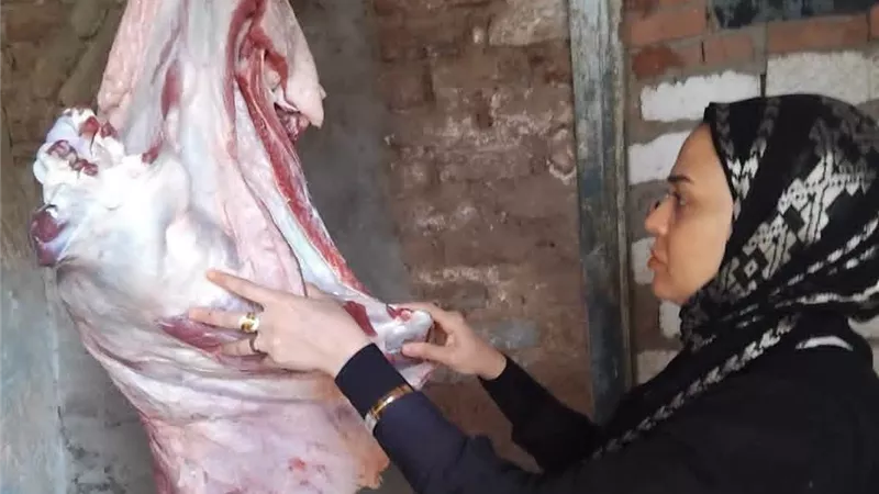 لحوم ودواجن وأسماك فاسدة في الأسواق.. تحرير 33 محضرًا بالمنيا خلال أسبوع