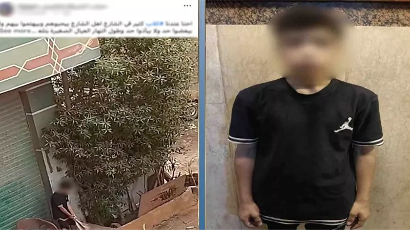 ضبط شخص اعتدى بالضرب على كلب في شبرا الخيمة.. والمتهم: «كنت بهزر»