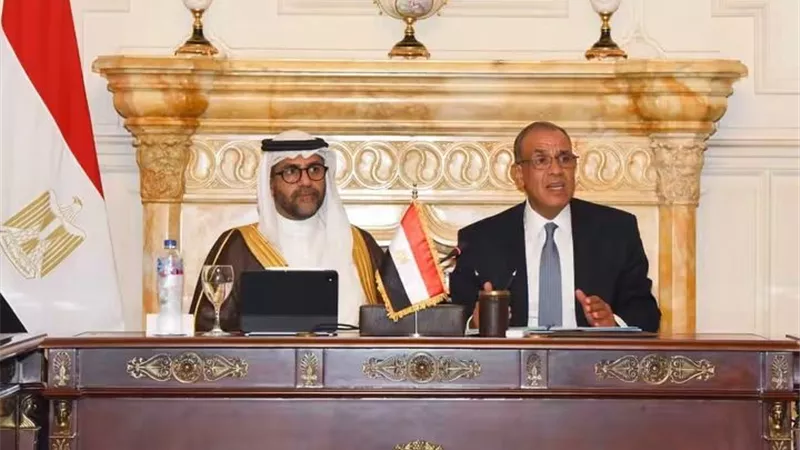 تحرك مصري لتعزيز الحضور الاقتصادي في إفريقيا.. وزير الخارجية يجتمع بالقطاع الخاص ورئيس المصرف العربي للتنمية