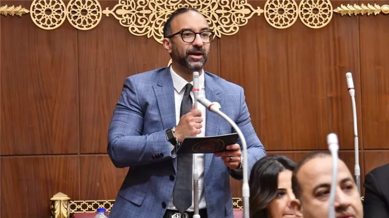 الحمامصي: توجيهات الرئيس السيسي بتسريع أحكام النفقات انتصار للحقوق وترسيخ للعدالة الناجزة