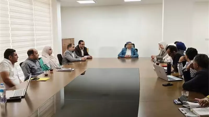لضبط المشهد الإعلاني.. «القومي لتنظيم الإعلانات» يراجع مخططات 7 مدن جديدة