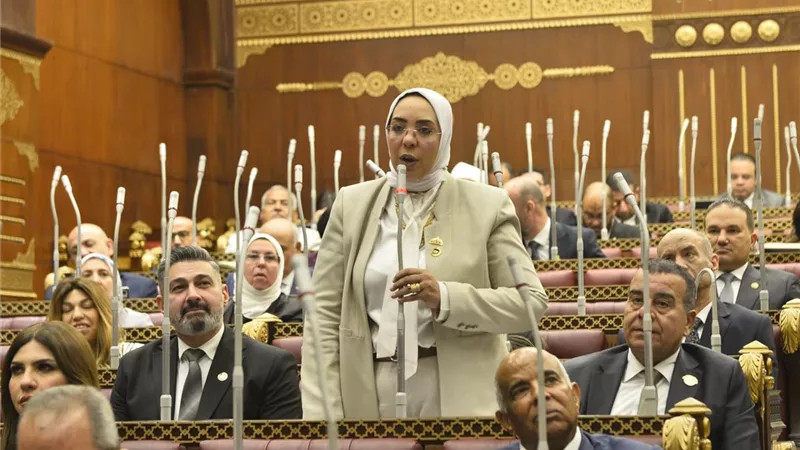 مياه النيل خط أحمر.. تحذير برلماني لإثيوبيا بشأن أمن مصر المائي
