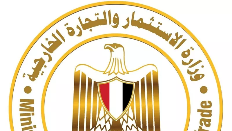 وزارة الاستثمار تفرض 5 آلاف جنيه رسم صادر على طن نفايات وقصاصات المطاط
