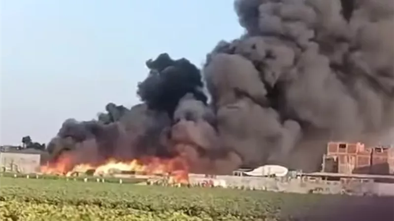 إصابة 3 أشخاص في حريق هائل بمصنع لتصنيع وتعبئة البرتقال والموالح بالشرقية