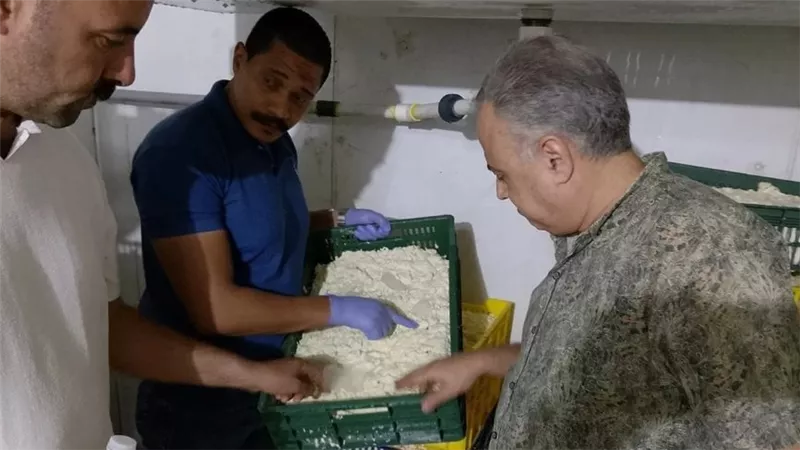 ضبط مصنع غير مرخص لإنتاج جبن موتزاريلا غير صالح للاستهلاك الآدمي بالفيوم