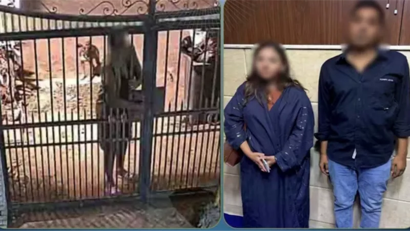 «ادعت أنه ضابط شرطة».. ضبط سيدة وجارها بعد مشادة بسبب تقليم أشجار بالمقطم