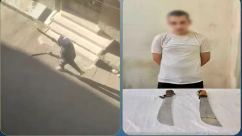 خلاف على الميراث.. ضبط عامل ظهر في فيديو يلوح بأسلحة بيضاء بالبحيرة