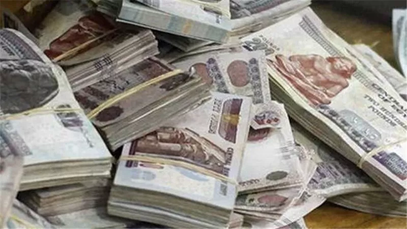 الرقابة المالية تكشف تفاصيل تمويلات استهلاكية باسم أولياء أمور دون علمهم