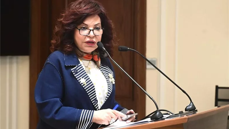 من «قاع الهامور» إلى اقتصاد التريند.. سؤال برلماني: هل تستثمر الحكومة قوة السوشيال ميديا؟