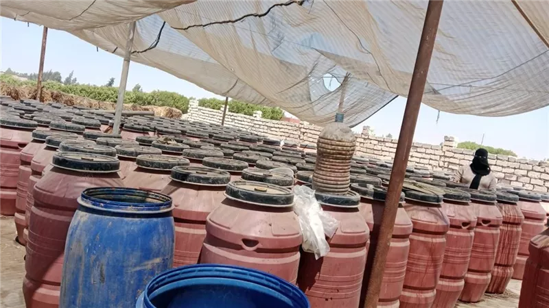 قبل ما توصل للمواطنين.. ضبط 30 طن مخللات فاسدة و350 كيلو سكر مهرب بالإسماعيلية