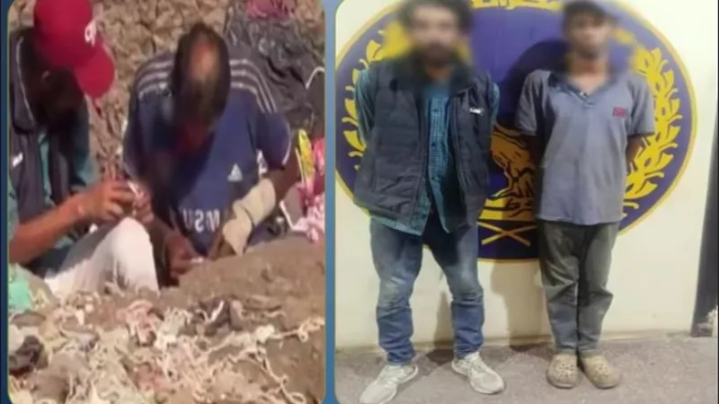 ضبط شخصين بعد ظهورهما في فيديو أثناء تعاطي المواد المخدرة بالقليوبية