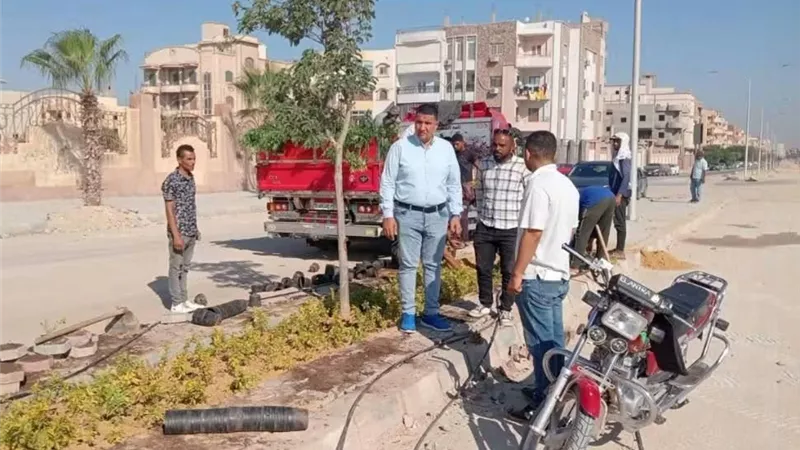 رئيس مدينة بني سويف الجديدة يتابع تطوير الزراعة والمسطحات الخضراء