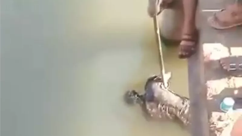 العثور على جثمان سيدة مجهولة الهوية طافيًا في مياه بحر يوسف بالفيوم