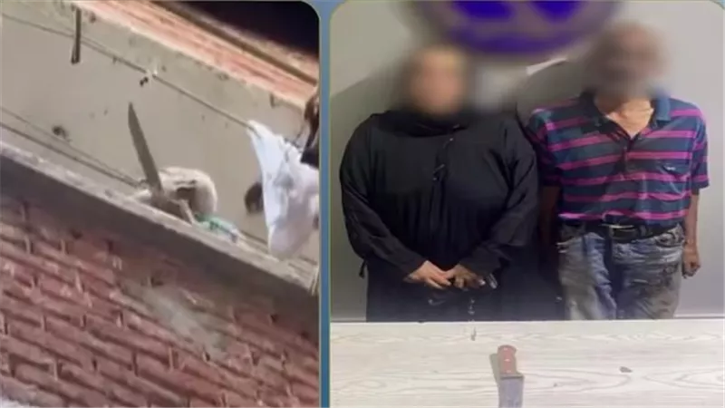 «إشارات خادشة وسلاح أبيض».. ضبط عاطل وزوجته بعد واقعة تعدي على سيدة بالمنتزه