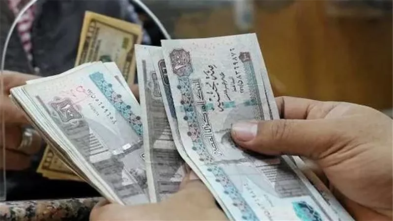معاش التأمينات دون وظيفة حكومية.. الفئات المستحقة وشروط الاشتراك ومدة المعاش