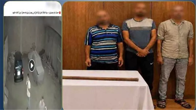 الداخلية تكشف ملابسات مشاجرة طوخ بعد تداول فيديو على مواقع التواصل