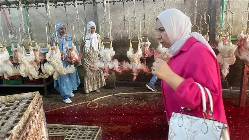 ضبط 2 طن لحوم مجهولة المصدر داخل مجزر في الشرقية 