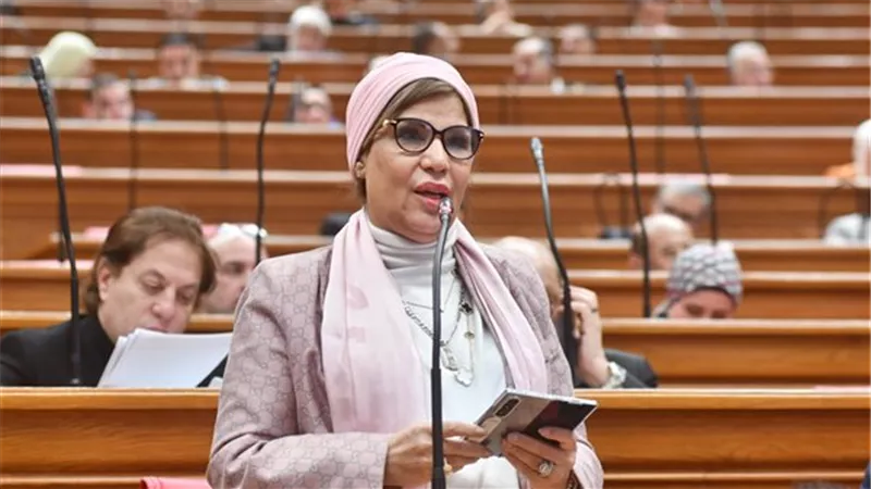 الرئيس السيسي للمسؤولين انزلوا للشارع.. النائبة صبورة السيد: ضبط الأسواق وحماية حقوق المواطن أولوية
