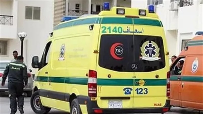 إصابة طالب برش خرطوش خلال مشاجرة داخل مزرعة بالمنيا