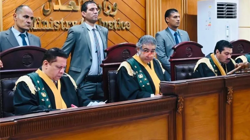 محكمة جنايات وادي النطرون تتدخل لإنهاء أزمة نسب طفلة وتُمكّن متهمًا من الزواج بوالدتها