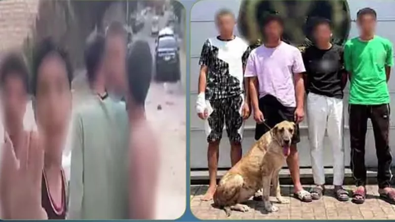 بحوزتهم كلب.. ضبط 4 أشخاص ظهروا في فيديو أثناء مضايقة المارة بالإسكندرية
