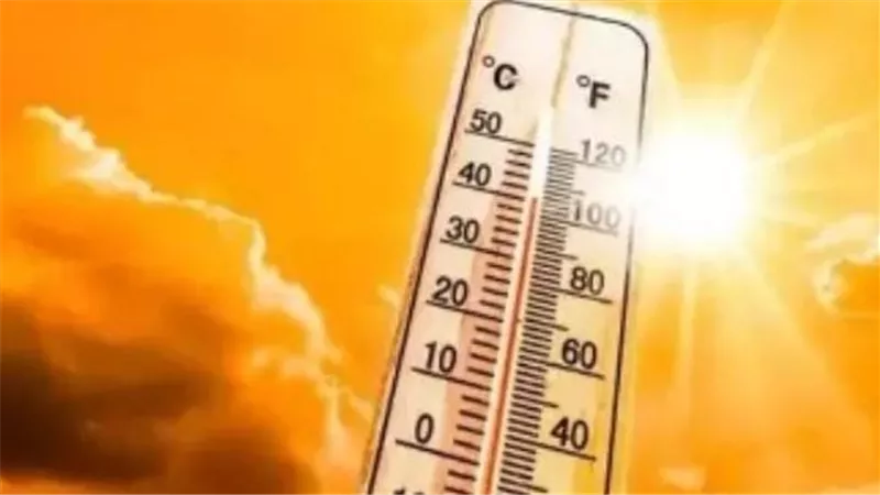 طقس الأحد.. الأرصاد تحذر من شبورة كثيفة واضطراب الملاحة