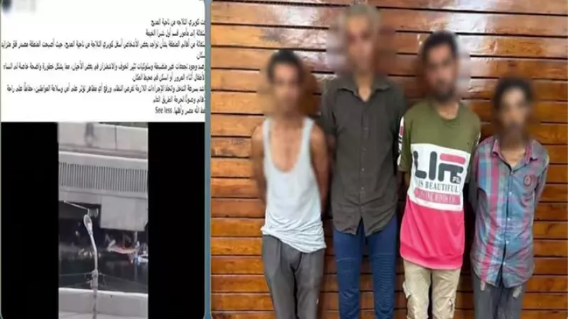 ضبط 4 أشخاص بعد تداول فيديو لافتراشهم أسفل كوبري في شبرا الخيمة