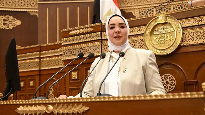 برلمانية تطالب الحكومة بترجمة توجيهات الرئيس السيسي إلى خطط تنفيذية واضحة ومحددة