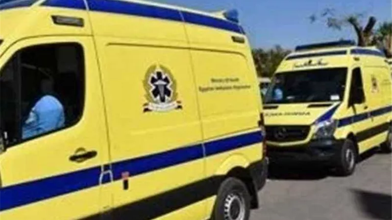 بسبب خلافات الميراث.. مقتل شخص طعنًا على يد شقيقه في بني مزار بالمنيا