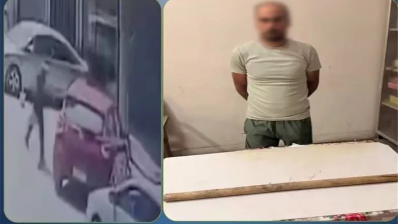 ضبط سائق بعد تحطيم سيارة طالبة بعصا خشبية في المحلة