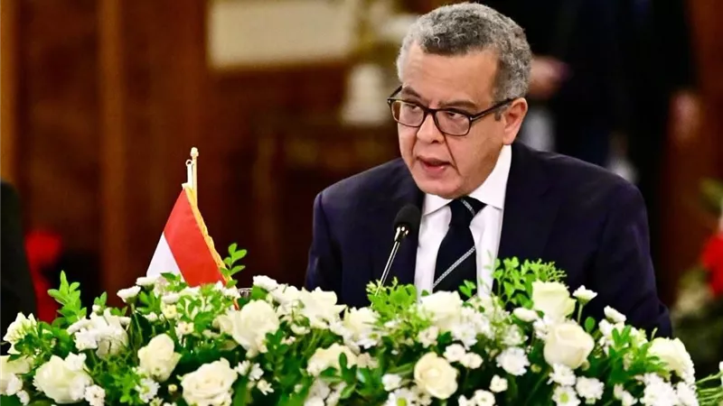 مصر تتولى رئاسة منظمة «أفروساي – العربية» في دورتها الأولى لمدة 3 سنوات