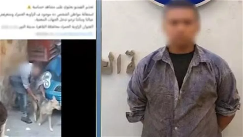 بعد فيديو الكلب.. الداخلية تكشف تفاصيل الواقعة وتفجر مفاجأة عن الطفل المتهم