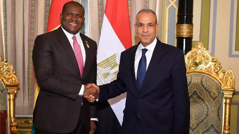 وزير الخارجية يلتقي وزير التعاون الدولي والتخطيط بجمهورية غينيا ويبحثان سبل تعزيز التعاون التنموي