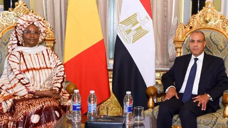 وزير الخارجية يلتقي وزيرة ريادة الأعمال والتوظيف والتدريب الفني بجمهورية مالي ويبحثان سبل التعاون