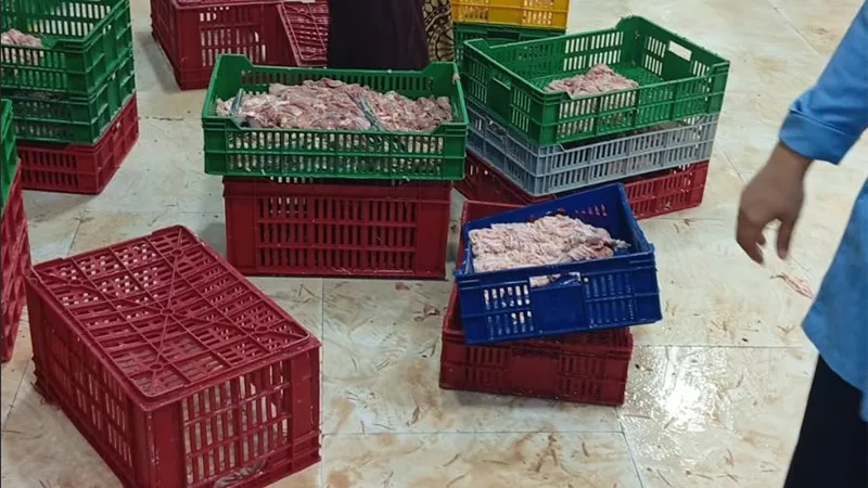 تموين الإسماعيلية تضبط 8 أطنان فاكهة ودواجن مجهولة.. وتحرر 115 مخالفة