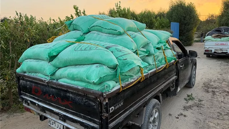 مباحث الإسماعيلية تضبط 15 طناً من الدقيق والسكر ومليون جنيه داخل منزل تاجر مواد تموينية