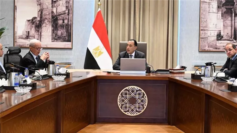 رئيس الوزراء يتابع مستجدات إعادة هيكلة وتطوير وحوكمة الشركات المملوكة للدولة 