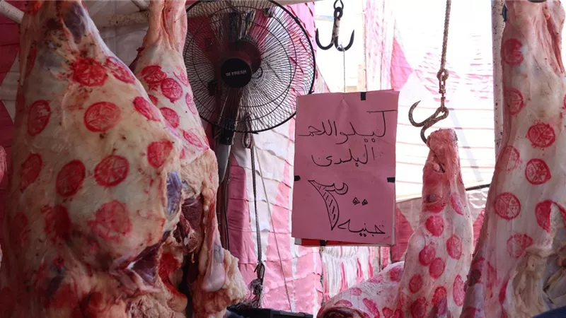 بـ300 جنيه للكيلو.. إطلاق مبادرة لطرح اللحوم البلدي بمعرض 