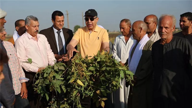 في عيد الفلاح الـ74.. محافظ المنيا يشهد حصاد ودراس فول الصويا بقرية صفط اللبن