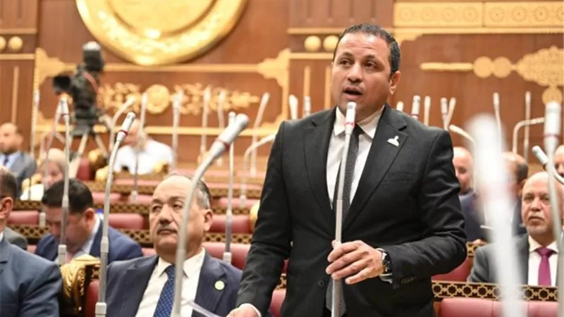برلماني: مصر والسعودية تمثلان ثقلًا عربيًا وإقليميًا كبيرًا.. والمرحلة المقبلة تتطلب تعظيم الشراكة الاقتصادية